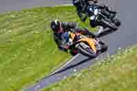 Lower Group Orange Bikes